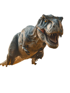 Tyrannosaurus Rex V11 Vinyl Car Decal Sticker – Waterproof & UV-Resistant 8"