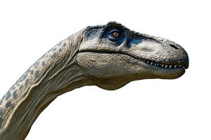 Brontosaurus Head V2 Vinyl Car Decal Sticker – Waterproof & UV-Resistant 8" Brontosaurus Head V2 Vinyl Car Decal Sticker – Waterproof & UV-Resistant 8"