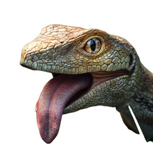 Lizard Capturing Prey Vinyl Car Decal Sticker – Waterproof & UV-Resistant 8"