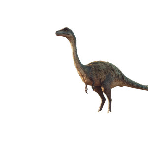 Gallimimus Dinosaur Vinyl Car Decal Sticker – Waterproof & UV-Resistant 8" Gallimimus Dinosaur Vinyl Car Decal Sticker – Waterproof & UV-Resistant 8"