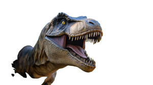 Dinosaur Macro Shot Vinyl Car Decal Sticker – Waterproof & UV-Resistant 8"