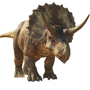 Hyper-Realistic Triceratops Vinyl Car Decal Sticker – Waterproof & UV-Resistant 8" Hyper-Realistic Triceratops Vinyl Car Decal Sticker – Waterproof & UV-Resistant 8"