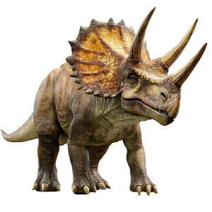 Triceratops V2 Vinyl Car Decal Sticker – Waterproof & UV-Resistant 8" Triceratops V2 Vinyl Car Decal Sticker – Waterproof & UV-Resistant 8"