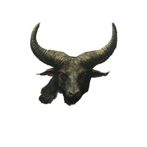 Satanas X 423 Vinyl Car Decal Sticker – Waterproof & UV-Resistant 8"