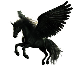 Magical Black Pegasus Vinyl Car Decal Sticker – Waterproof & UV-Resistant 8"