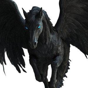 Black Pegasus Portrait Vinyl Car Decal Sticker – Waterproof & UV-Resistant 8" Black Pegasus Portrait Vinyl Car Decal Sticker – Waterproof & UV-Resistant 8"