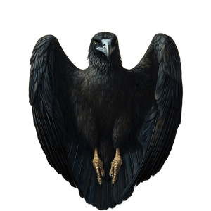 Medieval Black Vulture Vinyl Car Decal Sticker – Waterproof & UV-Resistant 8" Medieval Black Vulture Vinyl Car Decal Sticker – Waterproof & UV-Resistant 8"