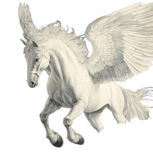 Pegasus Portrait Vinyl Car Decal Sticker – Waterproof & UV-Resistant 8" Pegasus Portrait Vinyl Car Decal Sticker – Waterproof & UV-Resistant 8"