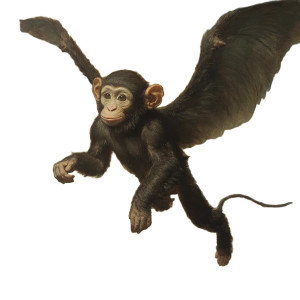 Flying Monkey Vinyl Car Decal Sticker – Waterproof & UV-Resistant 8"