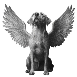 Angel Dog Vinyl Car Decal Sticker – Waterproof & UV-Resistant 8" Angel Dog Vinyl Car Decal Sticker – Waterproof & UV-Resistant 8"