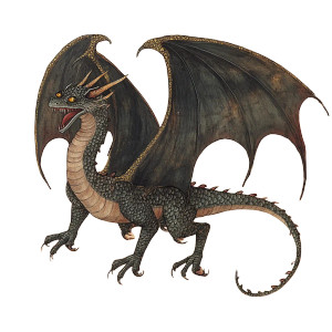 Medieval Dragon Illustration Vinyl Car Decal Sticker – Waterproof & UV-Resistant 8" Medieval Dragon Illustration Vinyl Car Decal Sticker – Waterproof & UV-Resistant 8"