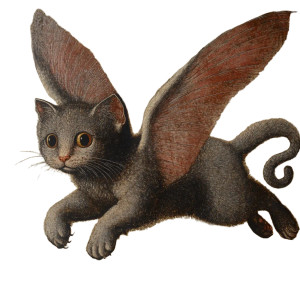 Flying Gray Cat Vinyl Car Decal Sticker – Waterproof & UV-Resistant 8"