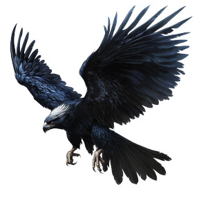 Black Griffin Flying Vinyl Car Decal Sticker – Waterproof & UV-Resistant 8"