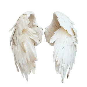 White Wings Pair Vinyl Car Decal Sticker – Waterproof & UV-Resistant 8"