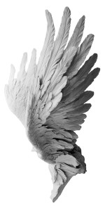 Bernini Wing Sculpture Vinyl Car Decal Sticker – Waterproof & UV-Resistant 8"