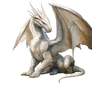 Dragon V21 Vinyl Car Decal Sticker – Waterproof & UV-Resistant 8"