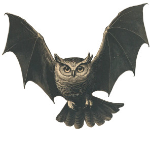 Vintage Halloween Owl Vinyl Car Decal Sticker – Waterproof & UV-Resistant 8"