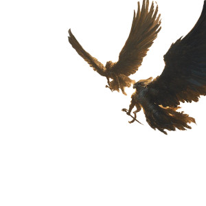 Valkyrie'S Battle V2 Vinyl Car Decal Sticker – Waterproof & UV-Resistant 8"