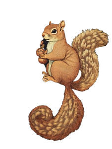Autumn Squirrel Tapestry Vinyl Car Decal Sticker – Waterproof & UV-Resistant 8"