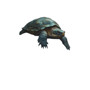 Old Mountain Turtle Vinyl Car Decal Sticker – Waterproof & UV-Resistant 8"