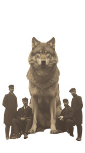 Majestic Wolf Portrait Vinyl Car Decal Sticker – Waterproof & UV-Resistant 8"