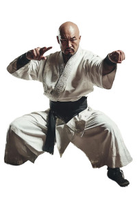 Kung Fu Cad Vinyl Car Decal Sticker – Waterproof & UV-Resistant 8"