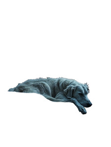 Cream Irish Wolfhound Vinyl Car Decal Sticker – Waterproof & UV-Resistant 8" Cream Irish Wolfhound Vinyl Car Decal Sticker – Waterproof & UV-Resistant 8"