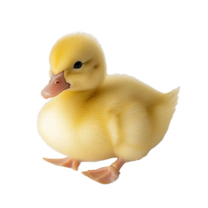 Baby Yellow Duckling Vinyl Car Decal Sticker – Waterproof & UV-Resistant 8"