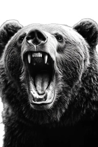 Aggressive Bear Vinyl Car Decal Sticker – Waterproof & UV-Resistant 8" Aggressive Bear Vinyl Car Decal Sticker – Waterproof & UV-Resistant 8"