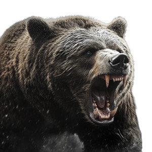 Grizzly Aggressive Realistic Vinyl Car Decal Sticker – Waterproof & UV-Resistant 8"