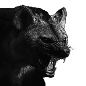 Evil Hyena Vinyl Car Decal Sticker – Waterproof & UV-Resistant 8" Evil Hyena Vinyl Car Decal Sticker – Waterproof & UV-Resistant 8"