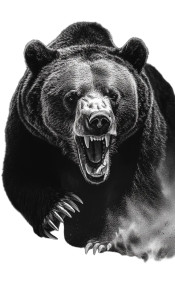 Attacking Grizzly Bear Vinyl Car Decal Sticker – Waterproof & UV-Resistant 8" Attacking Grizzly Bear Vinyl Car Decal Sticker – Waterproof & UV-Resistant 8"