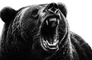 Fierce Bear Close-Up Vinyl Car Decal Sticker – Waterproof & UV-Resistant 8" Fierce Bear Close-Up Vinyl Car Decal Sticker – Waterproof & UV-Resistant 8"
