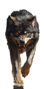 Aggressive Wolf V2 Vinyl Car Decal Sticker – Waterproof & UV-Resistant 8"