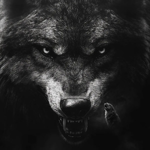 Sinister Gothic Wolf Vinyl Car Decal Sticker – Waterproof & UV-Resistant 8"