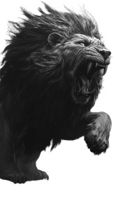 Fierce Lion Vinyl Car Decal Sticker – Waterproof & UV-Resistant 8" Fierce Lion Vinyl Car Decal Sticker – Waterproof & UV-Resistant 8"
