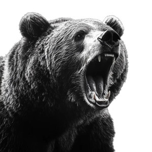 Roaring Bear Portrait V2 Vinyl Car Decal Sticker – Waterproof & UV-Resistant 8" Roaring Bear Portrait V2 Vinyl Car Decal Sticker – Waterproof & UV-Resistant 8"