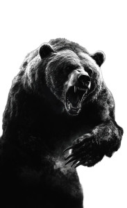 Angry Grizzly Bear V11 Vinyl Car Decal Sticker – Waterproof & UV-Resistant 8" Angry Grizzly Bear V11 Vinyl Car Decal Sticker – Waterproof & UV-Resistant 8"