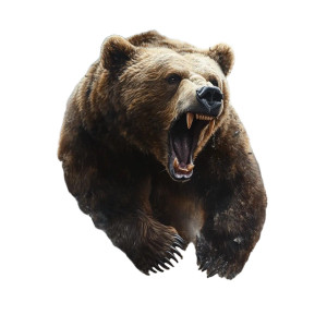 Majestic Grizzly Attack Vinyl Car Decal Sticker – Waterproof & UV-Resistant 8" Majestic Grizzly Attack Vinyl Car Decal Sticker – Waterproof & UV-Resistant 8"