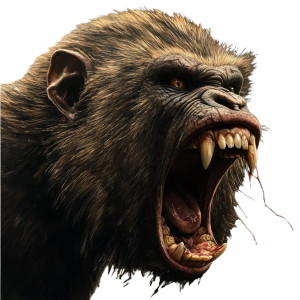 Gnarly Baboon Vinyl Car Decal Sticker – Waterproof & UV-Resistant 8"