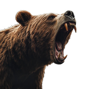 Scary Roaring Bear Vinyl Car Decal Sticker – Waterproof & UV-Resistant 8"