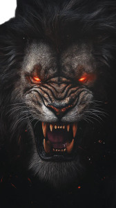 Majestic Lion Snarl Vinyl Car Decal Sticker – Waterproof & UV-Resistant 8"