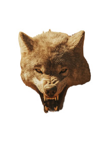 Sand Wolf Charge Vinyl Car Decal Sticker – Waterproof & UV-Resistant 8"