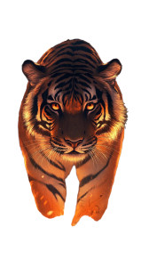 Anime Bengal Tiger V2 Vinyl Car Decal Sticker – Waterproof & UV-Resistant 8" Anime Bengal Tiger V2 Vinyl Car Decal Sticker – Waterproof & UV-Resistant 8"