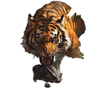 Tiger And Dragon Vinyl Car Decal Sticker – Waterproof & UV-Resistant 8"