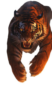 Fierce Tiger V7 Vinyl Car Decal Sticker – Waterproof & UV-Resistant 8"