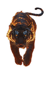 Flaming Tiger Prowling Vinyl Car Decal Sticker – Waterproof & UV-Resistant 8"