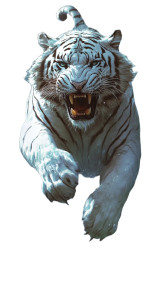 White Tiger Attack Vinyl Car Decal Sticker – Waterproof & UV-Resistant 8" White Tiger Attack Vinyl Car Decal Sticker – Waterproof & UV-Resistant 8"