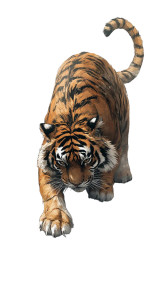 Japanese Tiger Illustration V2 Vinyl Car Decal Sticker – Waterproof & UV-Resistant 8" Japanese Tiger Illustration V2 Vinyl Car Decal Sticker – Waterproof & UV-Resistant 8"