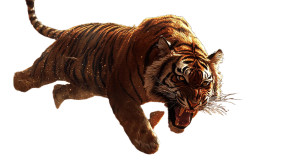 Tiger Hunts Vinyl Car Decal Sticker – Waterproof & UV-Resistant 8" Tiger Hunts Vinyl Car Decal Sticker – Waterproof & UV-Resistant 8"